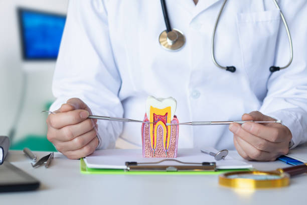 Best Emergency Treatment for Dental Infections or Abscesses in Awendaw, SC
